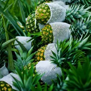 Fresh Golden MD2 Pineapple from AQINA Fruits Malaysia